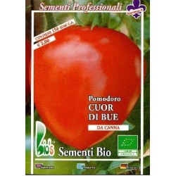 tomate corazÃ³n de buey (semillas ecolÃ³gicas)