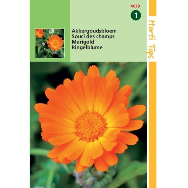 calÃ©ndula arvensis