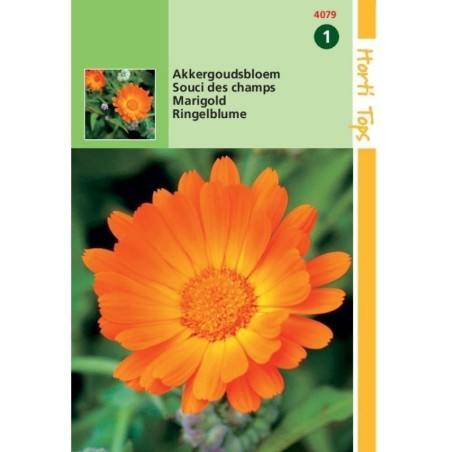 calÃ©ndula arvensis