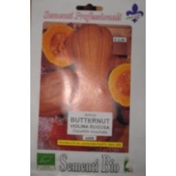 calabaza violina - butternut rugosa - semillas ecolÃ³gicas