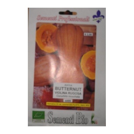 calabaza violina - butternut rugosa - semillas ecolÃ³gicas