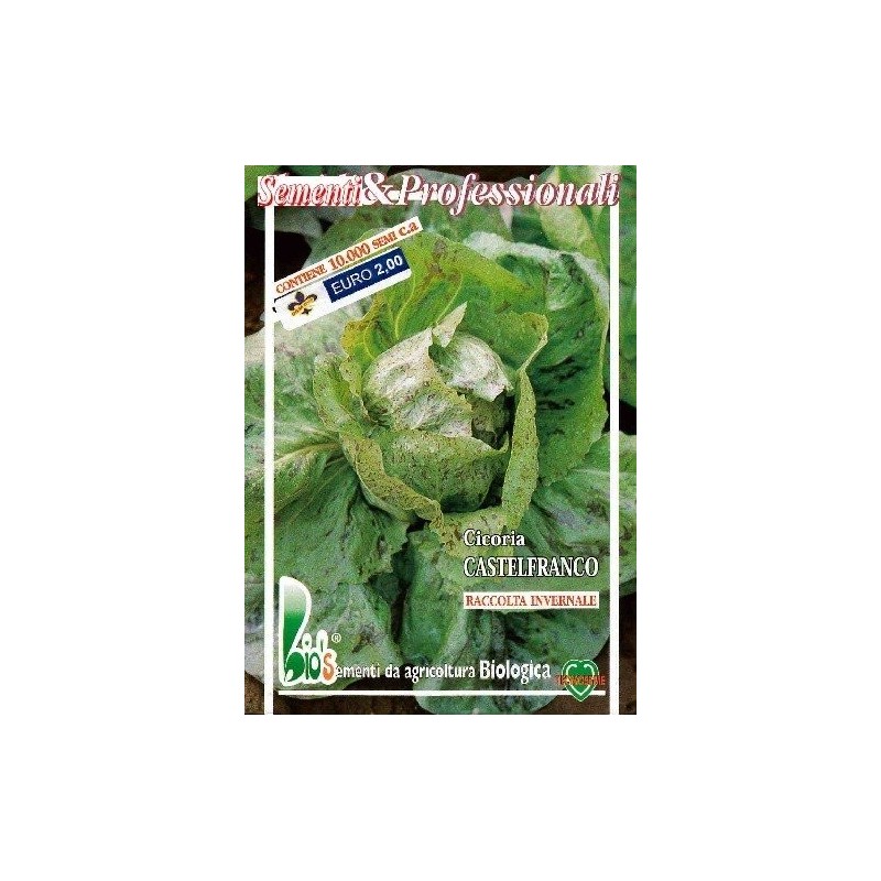 achicoria de Castelfranco semillas ecolÃ³gicas