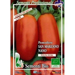 tomate San Marzano mata baja (semillas ecolÃ³gicas)