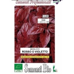 albahaca purpura (semillas ecolÃ³gicas)