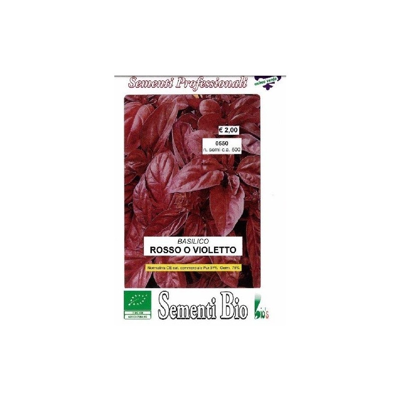 albahaca purpura (semillas ecolÃ³gicas)