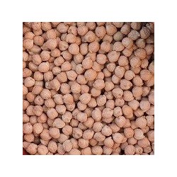 garbanzo fino - semillas ecologicas