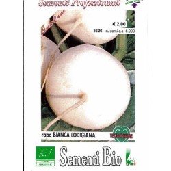 nabo blanco lodigiana (semillas ecolÃ³gicas)