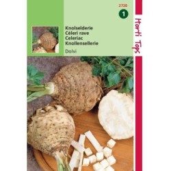 apio nabo dolvi (Apium graveolens)
