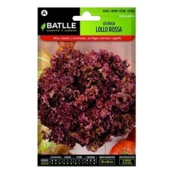 lechuga lollo rossa - semillas batlle