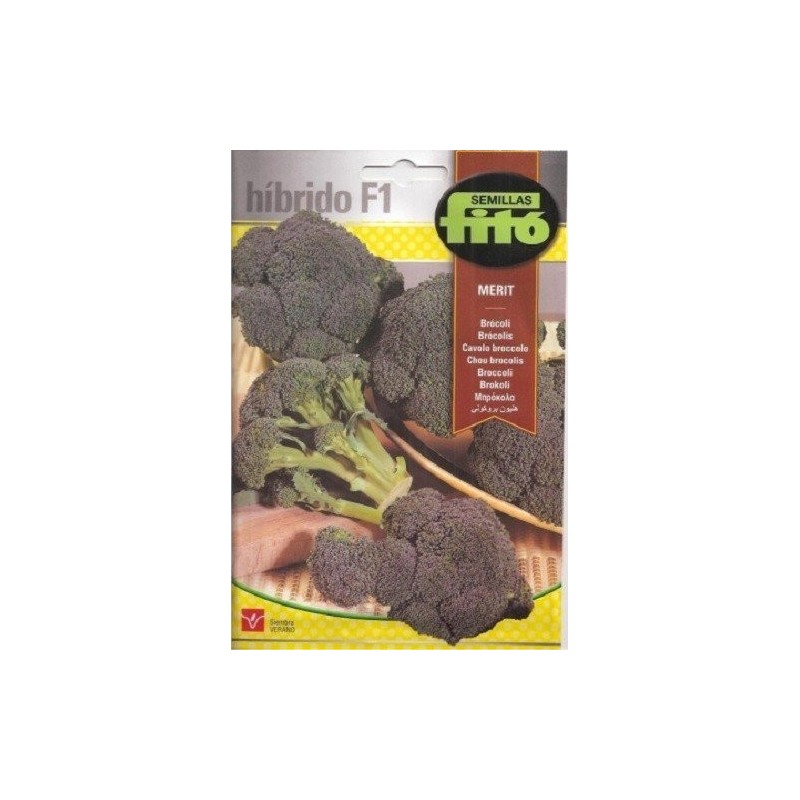 brocoli Merit F1