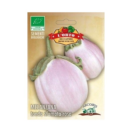 berenjena bianca sfumata di rosa - semillas ecolÃ³gicas