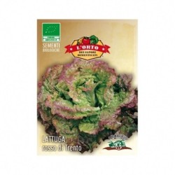 Lechuga Ubriacona (semillas ecolÃ³gicas)