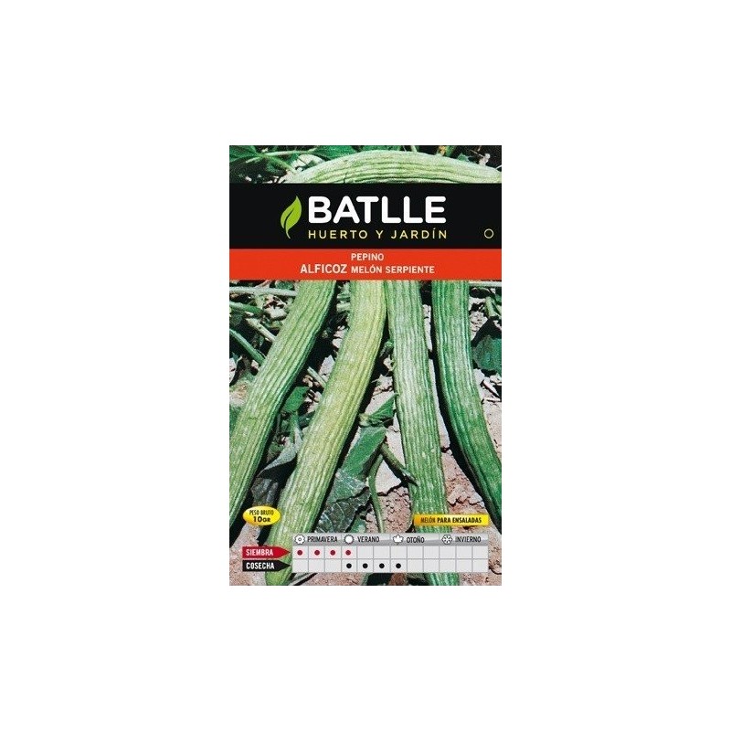 pepino alficoz - melÃ³n serpiente