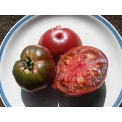 tomate black russian (semillas no tratadas)