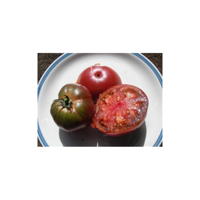 tomate black russian (semillas no tratadas)