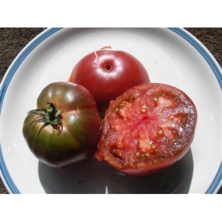 tomate black russian (semillas no tratadas)
