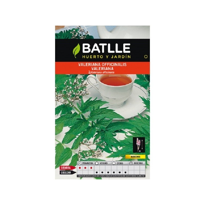 valeriana (valeriana officinalis)