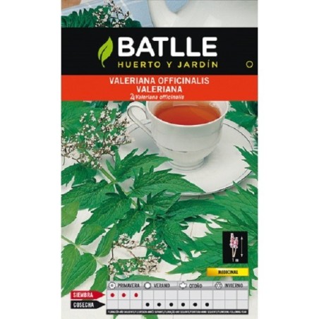 valeriana (valeriana officinalis)