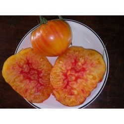 tomate Hillbilly (semillas ecolÃ³gicas)