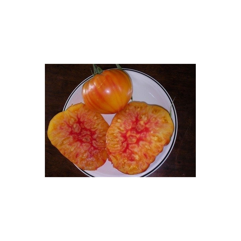 tomate Hillbilly (semillas ecolÃ³gicas)