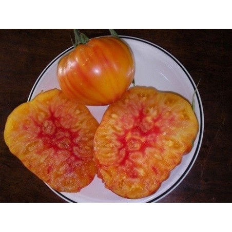 tomate Hillbilly (semillas ecolÃ³gicas)