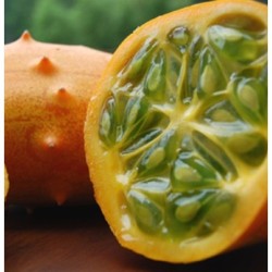 pepino conudo africano - kiwano