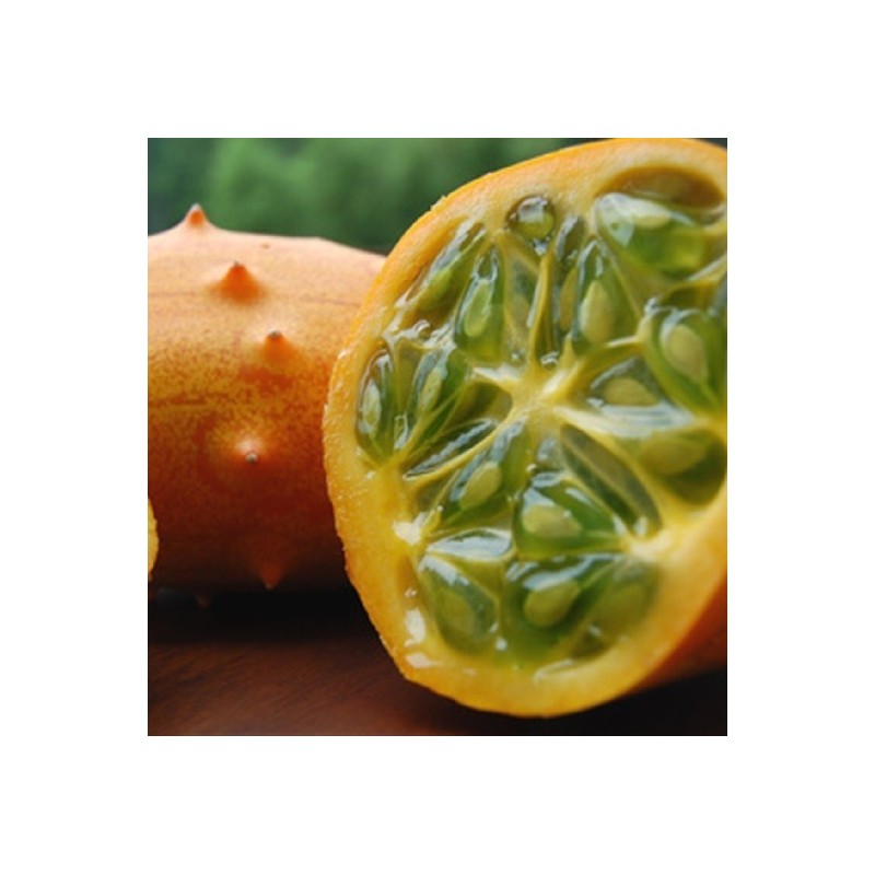 pepino conudo africano - kiwano