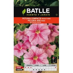 petunia compacta rosa puro