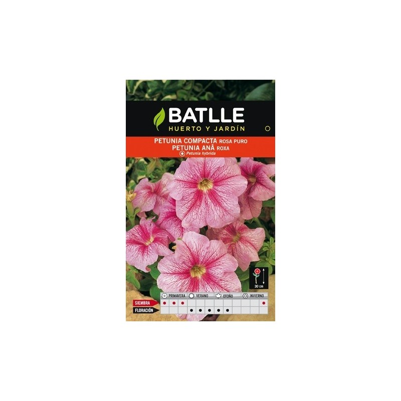 petunia compacta rosa puro
