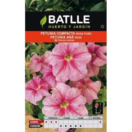 petunia compacta rosa puro