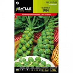 col de Bruselas Sanda