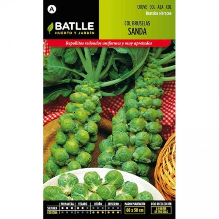 col de Bruselas Sanda