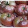 tomate cherokee chocolate