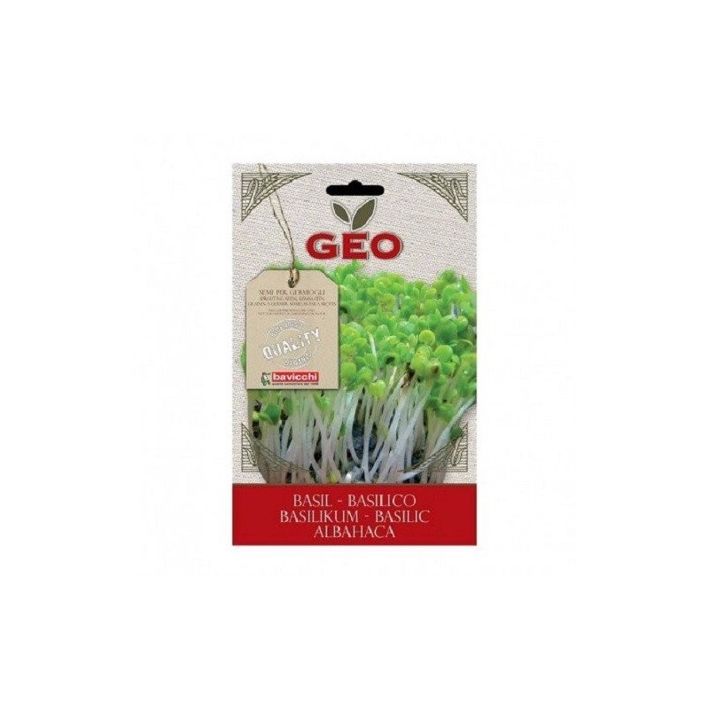 albahaca para germinar geo