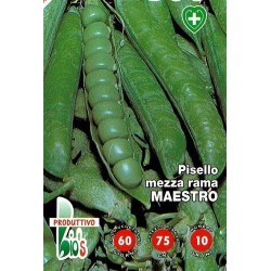 guisante maestro - semillas ecologicas