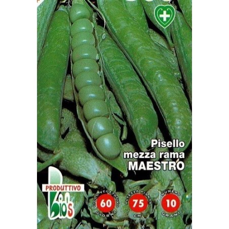 guisante maestro - semillas ecologicas