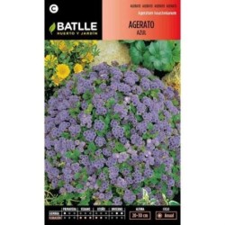 agerato azul (damasquino)