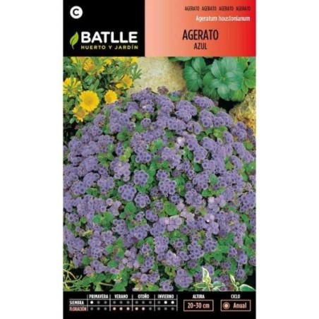 agerato azul (damasquino)