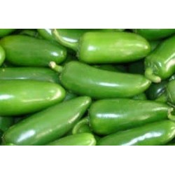 pimiento jalapeÃ±o - semillas no tratadas