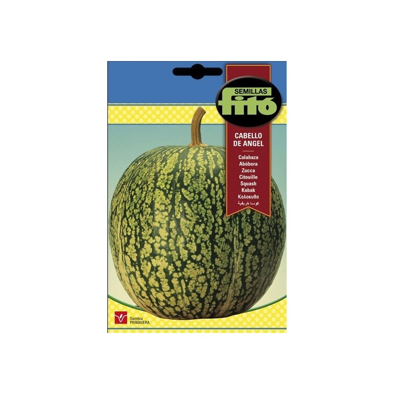 calabaza cabello de Ã¡ngel (cidra)