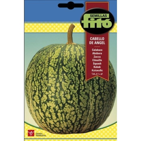 calabaza cabello de Ã¡ngel (cidra)