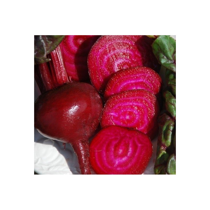 remolacha sangre de toro