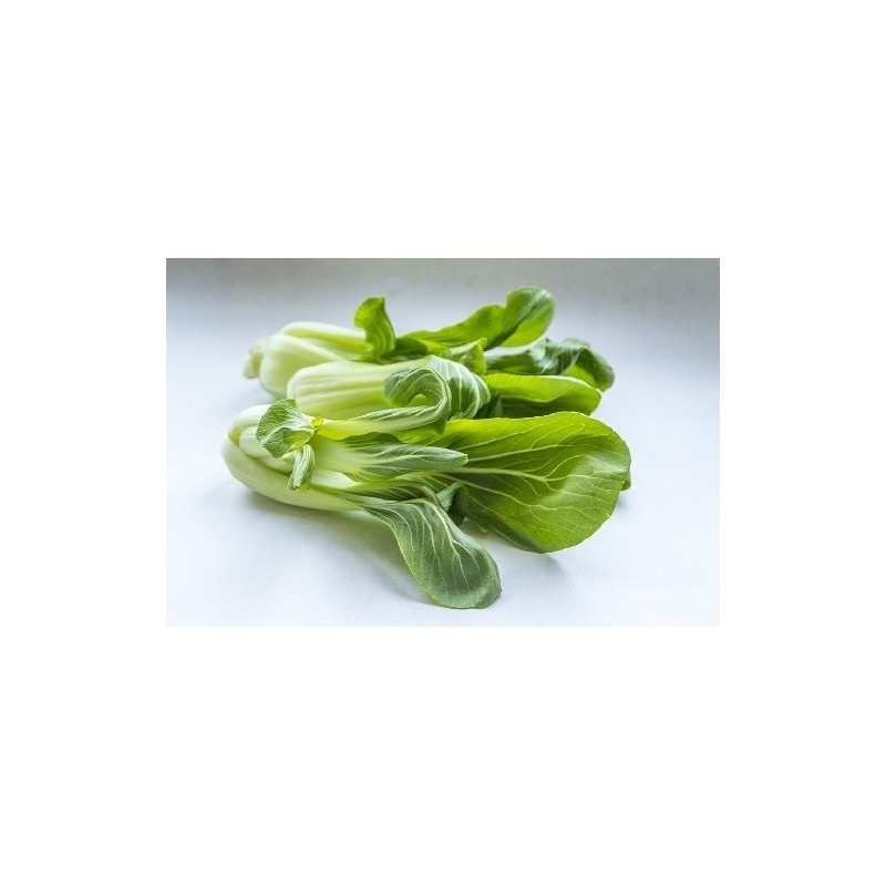 pak choi blanco