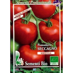 tomate seccagno - heinz 1308 (semillas ecolÃ³gicas)