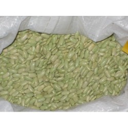 alubia verdina ardisana