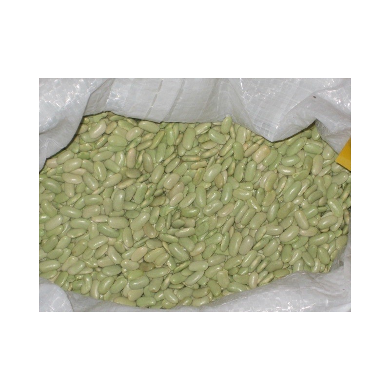 alubia verdina ardisana