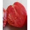 semillas de tomate corazÃ³n de buey
