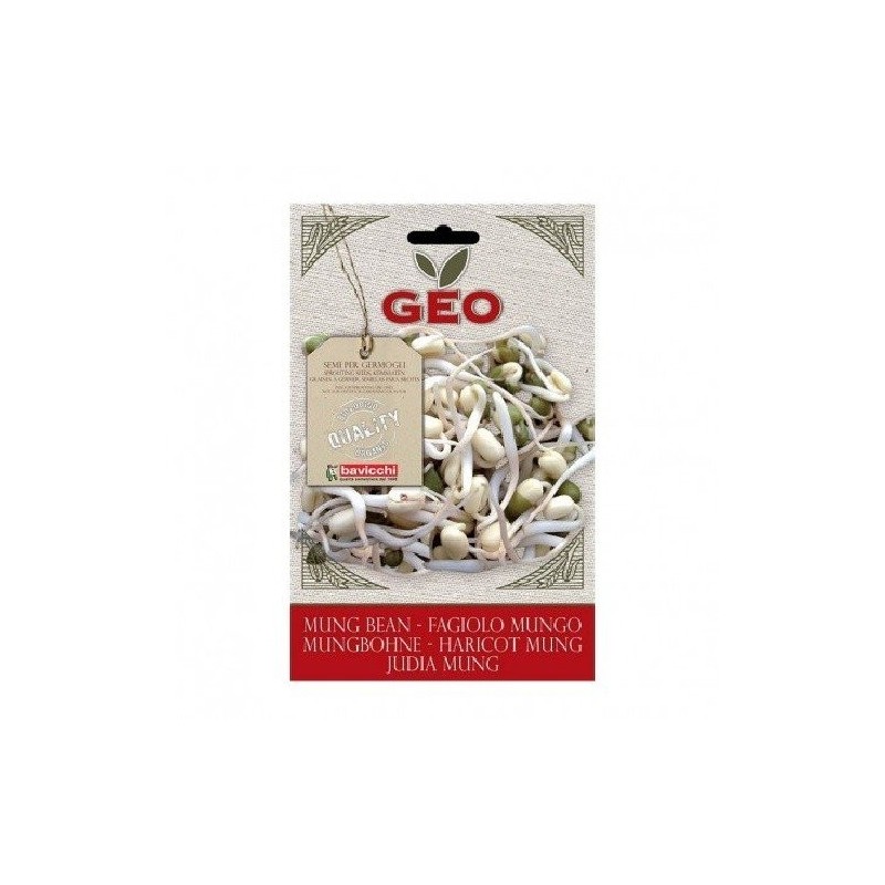 judia mungo para germinar geo