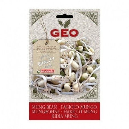 judia mungo para germinar geo
