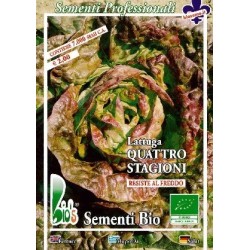 lechuga cuatro estaciones - semillas ecolÃ³gicas